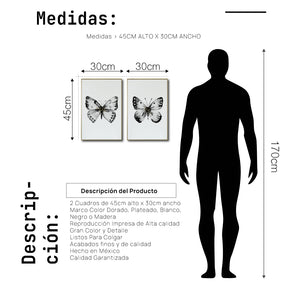 Cuadro Decorativo Abstracto Negro Arena 2-270 - Boceto Mariposas En Blanco, Negro y Dorado Arte Moderno Estilo Nordico