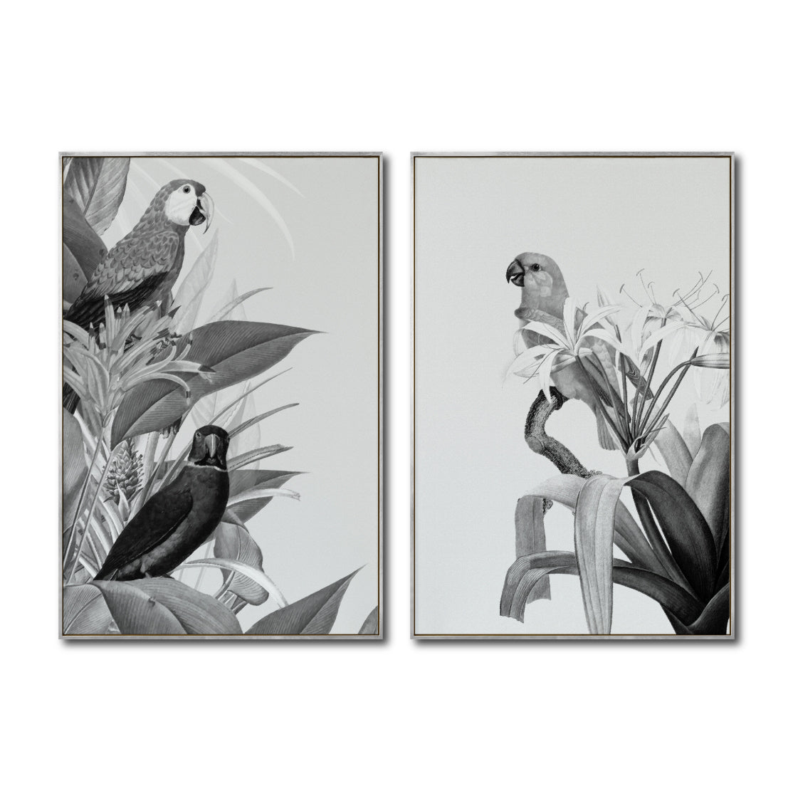 Set Cuadros Decorativos Abstracto Negro Arena 2-272 - Diptico Boceto Loros, Aves, Pericos Arte Moderno y Elegante en Blanco y Negro Estilo Nordico