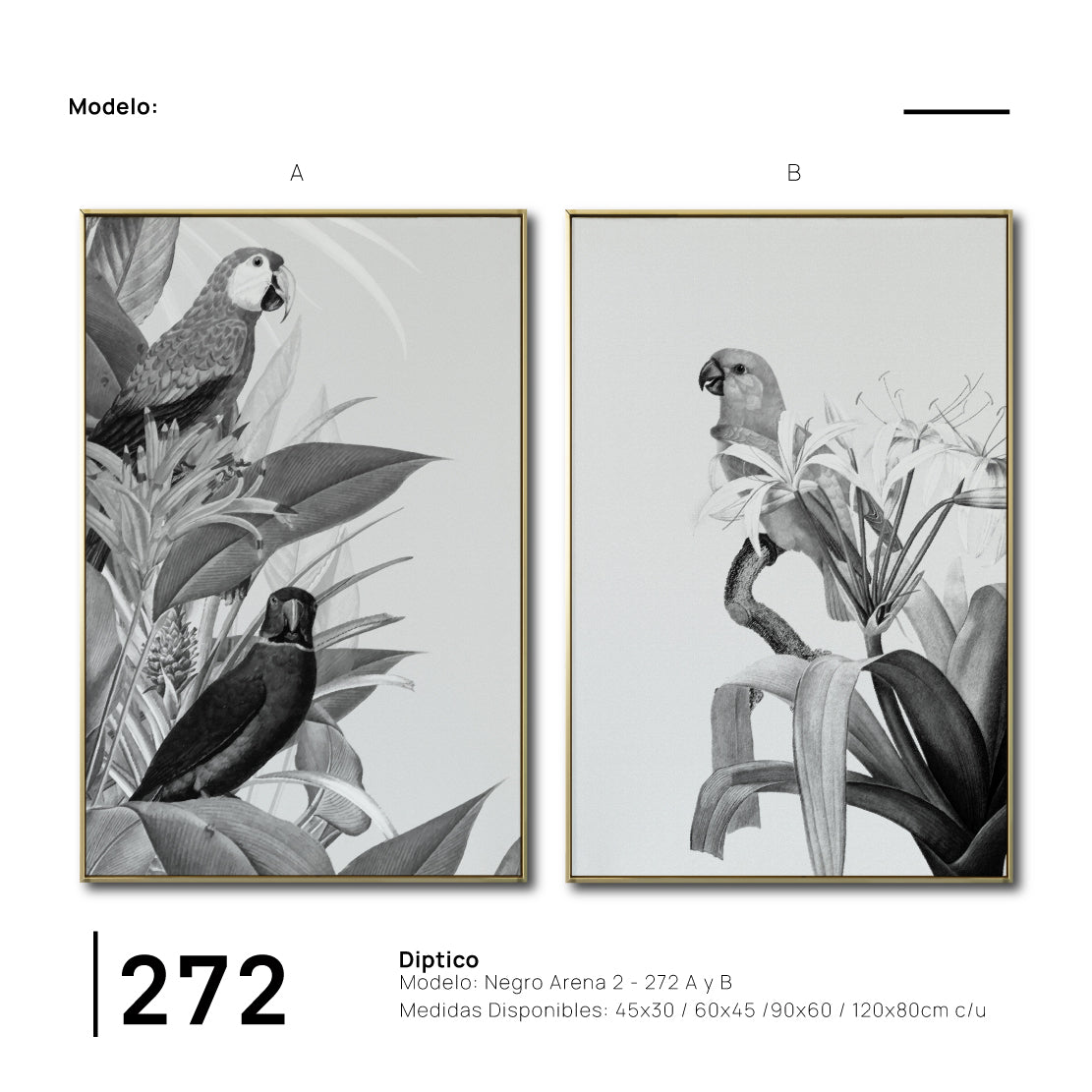 Set Cuadros Decorativos Abstracto Negro Arena 2-272 - Diptico Boceto Loros, Aves, Pericos Arte Moderno y Elegante en Blanco y Negro Estilo Nordico