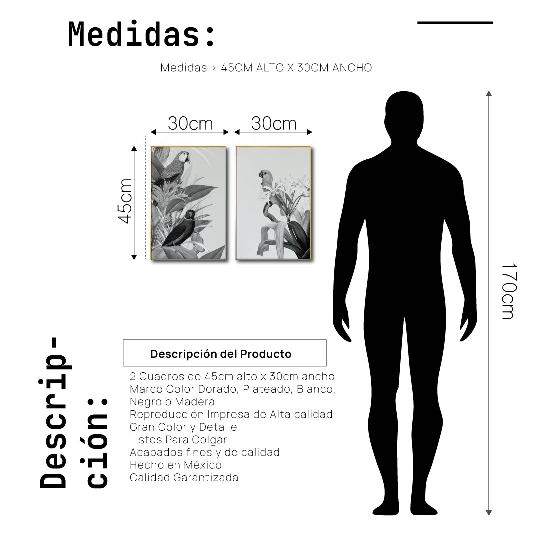 Set Cuadros Decorativos Abstracto Negro Arena 2-272 - Diptico Boceto Loros, Aves, Pericos Arte Moderno y Elegante en Blanco y Negro Estilo Nordico