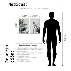 Set Cuadros Decorativos Abstracto Negro Arena 2-272 - Diptico Boceto Loros, Aves, Pericos Arte Moderno y Elegante en Blanco y Negro Estilo Nordico