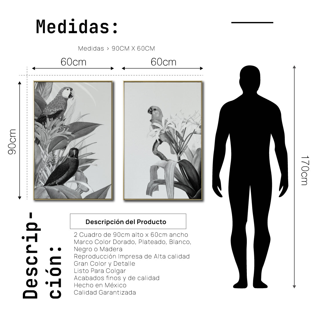 Set Cuadros Decorativos Abstracto Negro Arena 2-272 - Diptico Boceto Loros, Aves, Pericos Arte Moderno y Elegante en Blanco y Negro Estilo Nordico