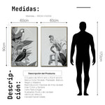 Cargar imagen en el visor de la galería, Set Cuadros Decorativos Abstracto Negro Arena 2-272 - Diptico Boceto Loros, Aves, Pericos Arte Moderno y Elegante en Blanco y Negro Estilo Nordico
