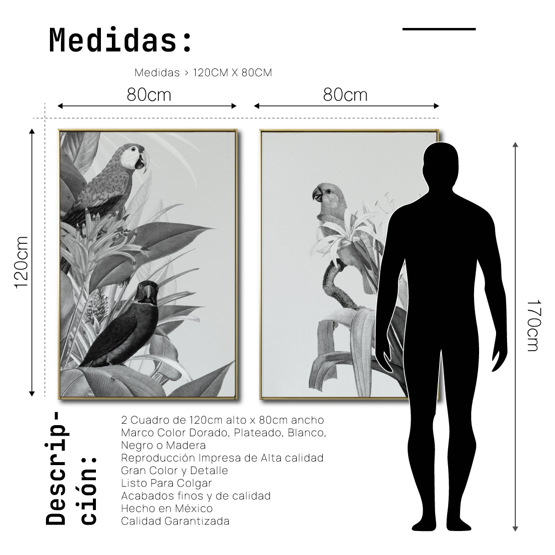 Set Cuadros Decorativos Abstracto Negro Arena 2-272 - Diptico Boceto Loros, Aves, Pericos Arte Moderno y Elegante en Blanco y Negro Estilo Nordico