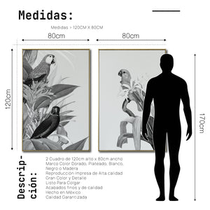 Set Cuadros Decorativos Abstracto Negro Arena 2-272 - Diptico Boceto Loros, Aves, Pericos Arte Moderno y Elegante en Blanco y Negro Estilo Nordico