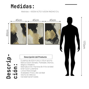 Set Cuadros Decorativos Abstracto Negro Arena 2-277- Triptico Moderno y Elegante Arte Estilo Nordico en Negro, Beige y Dorado Oro