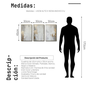 Set Cuadros Decorativos Abstracto Negro Arena 2 - 278 - Triptico Moderno y Elegante Arte Estilo Nordico en Blanco, Gris y Dorado Oro