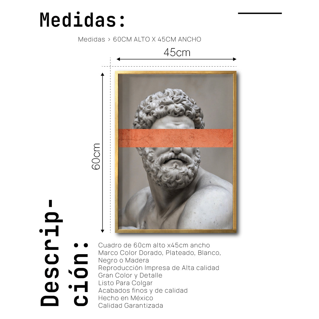 Cuadro Decorativo Escultura 027 Hércules