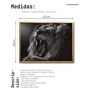 Cuadro Decorativo Fauna 027 - León Blanco y Negro