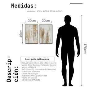 Set Cuadros Decorativos Abstracto Negro Arena 2 - 281 - Diptico Moderno y Elegante Arte Estilo Boho en Blanco, Beige y Dorado Oro