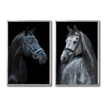 Cargar imagen en el visor de la galería, Set 2 Cuadros Decorativos Caballos 028
