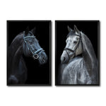 Cargar imagen en el visor de la galería, Set 2 Cuadros Decorativos Caballos 028
