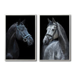 Cargar imagen en el visor de la galería, Set 2 Cuadros Decorativos Caballos 028
