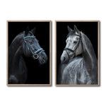 Cargar imagen en el visor de la galería, Set 2 Cuadros Decorativos Caballos 028
