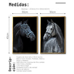 Cargar imagen en el visor de la galería, Set 2 Cuadros Decorativos Caballos 028
