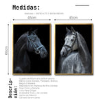 Cargar imagen en el visor de la galería, Set 2 Cuadros Decorativos Caballos 028
