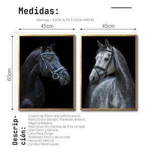 Set 2 Cuadros Decorativos Caballos 028