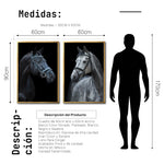 Cargar imagen en el visor de la galería, Set 2 Cuadros Decorativos Caballos 028
