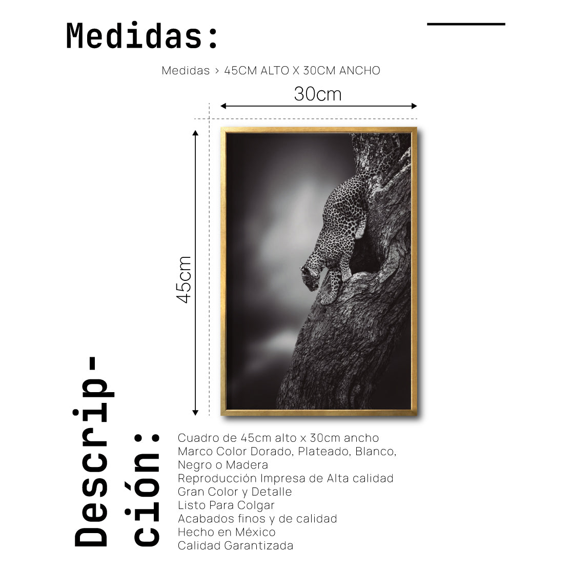 Cuadro Decorativo Fauna 028 - Leopardo Blanco y Negro