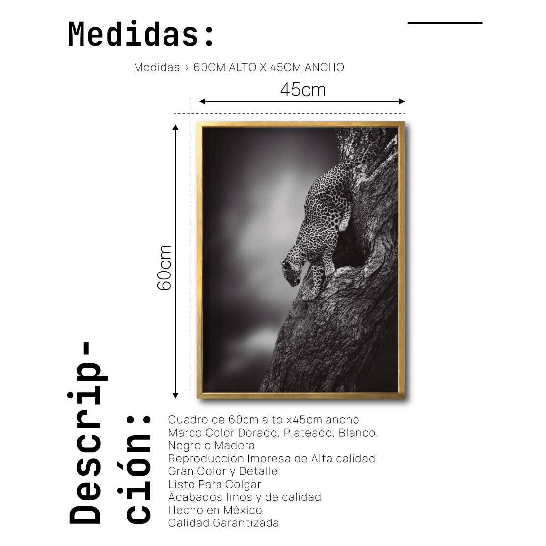 Cuadro Decorativo Fauna 028 - Leopardo Blanco y Negro