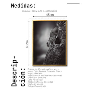 Cuadro Decorativo Fauna 028 - Leopardo Blanco y Negro