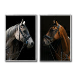 Cargar imagen en el visor de la galería, Set 2 Cuadros Decorativos Caballos 029
