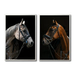 Cargar imagen en el visor de la galería, Set 2 Cuadros Decorativos Caballos 029
