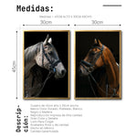 Cargar imagen en el visor de la galería, Set 2 Cuadros Decorativos Caballos 029
