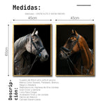 Cargar imagen en el visor de la galería, Set 2 Cuadros Decorativos Caballos 029
