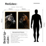 Cargar imagen en el visor de la galería, Set 2 Cuadros Decorativos Caballos 029
