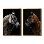 Cargar imagen en el visor de la galería, Set 2 Cuadros Decorativos Caballos 029
