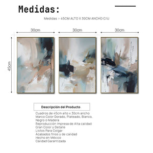 Set de 3 Cuadros Decorativos Abstract Colors 3 - 303 - Para Sala