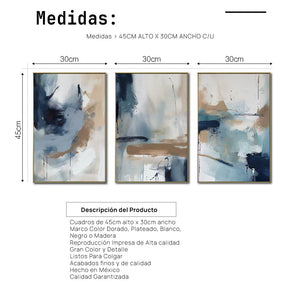 Set de 3 Cuadros Decorativos Abstract Colors 3 - 304 - Para Sala