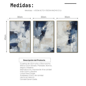 Set de 3 Cuadros Decorativos Abstract Colors 3 - 306