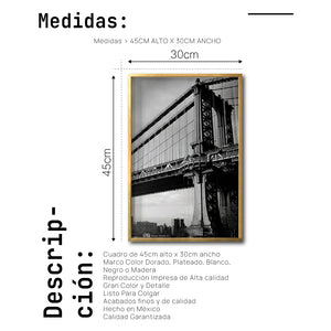 Cuadro Decorativo NY 031 - Manhattan Bridge New York