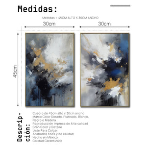 Set de 2 Cuadros Decorativos Abstract Colors 3 - 310 - Para Sala