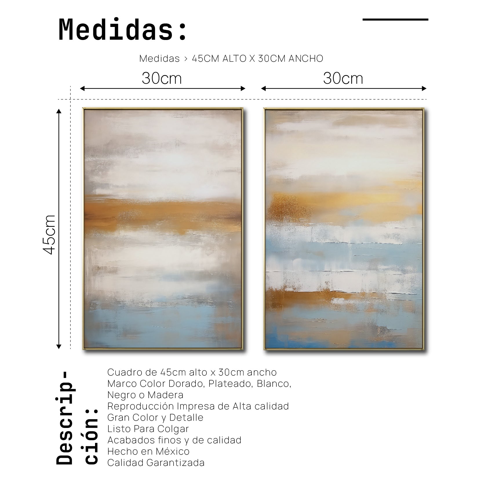 Set de 2 Cuadros Decorativos Abstract Colors 3-311 - Para Sala