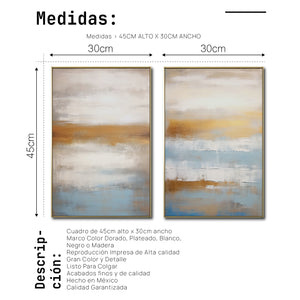 Set de 2 Cuadros Decorativos Abstract Colors 3-311 - Para Sala