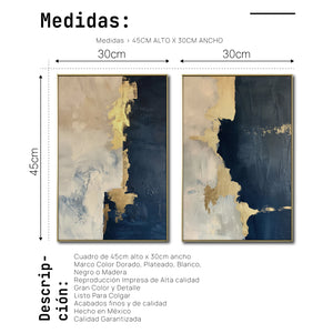 Set de 2 Cuadros Decorativos Abstract Colors 3-312 - ´Para Sala