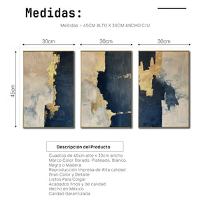 Set de 3 Cuadros Decorativos Abstract Colors 3-312 - Para Sala