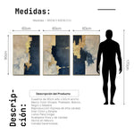 Cargar imagen en el visor de la galería, Set de 3 Cuadros Decorativos Abstract Colors 3-312 - Para Sala
