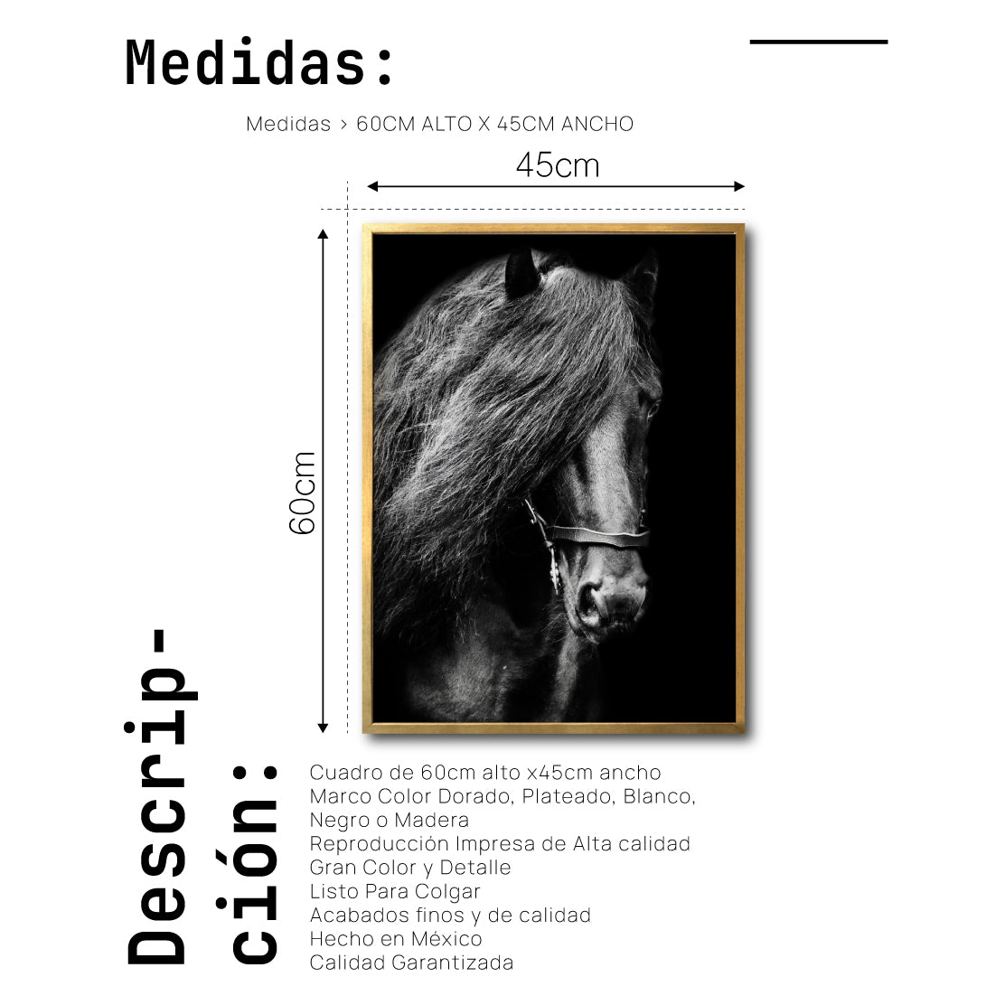 Cuadro Decorativo Caballos 031