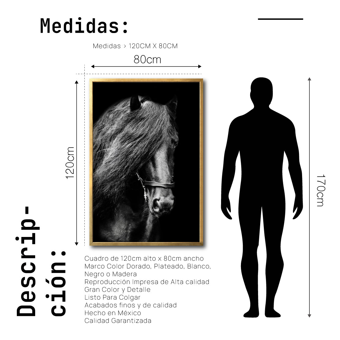 Cuadro Decorativo Caballos 031