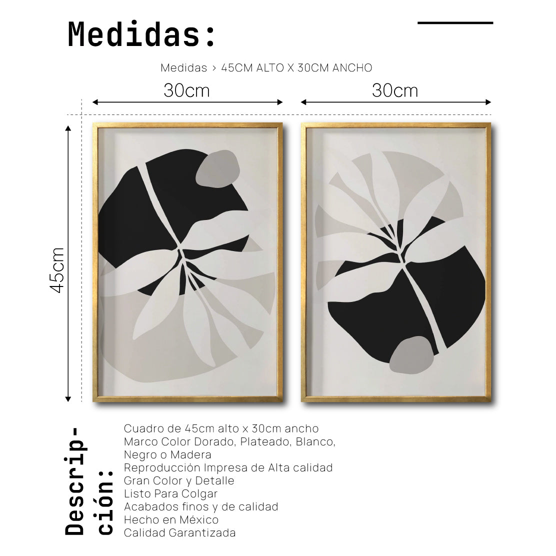 Set 2 Cuadros Decorativos Abstracto Negro Arena 031 - Arte Elegante Estilo Boho Minimalista en Beige y Negro