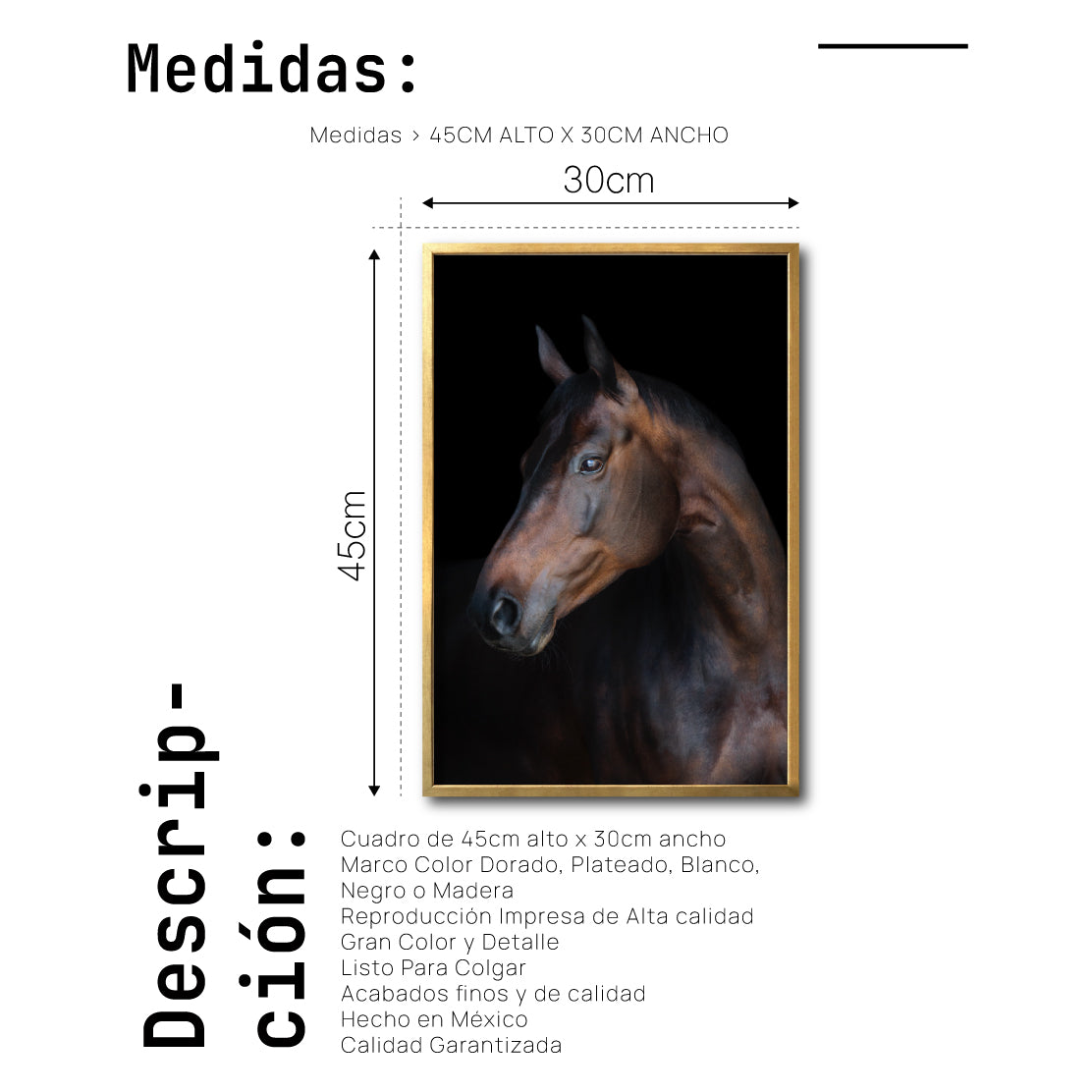 Cuadro Decorativo Caballos 032