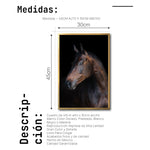 Cargar imagen en el visor de la galería, Cuadro Decorativo Caballos 032
