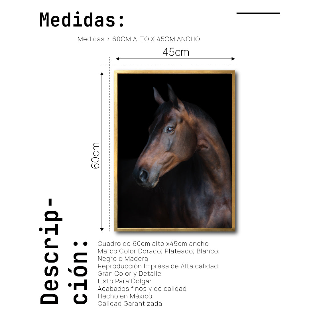 Cuadro Decorativo Caballos 032