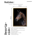 Cargar imagen en el visor de la galería, Cuadro Decorativo Caballos 032
