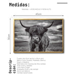 Cargar imagen en el visor de la galería, Cuadro Decorativo Fauna 032 - Vaca de las Tierras Altas Toro Blanco y Negro
