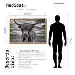 Cargar imagen en el visor de la galería, Cuadro Decorativo Fauna 032 - Vaca de las Tierras Altas Toro Blanco y Negro
